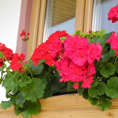 Appartement Am Tatscherlehen ピーゼンドルフ エクステリア 写真